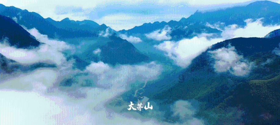 脑洞小老弟无实名认证
